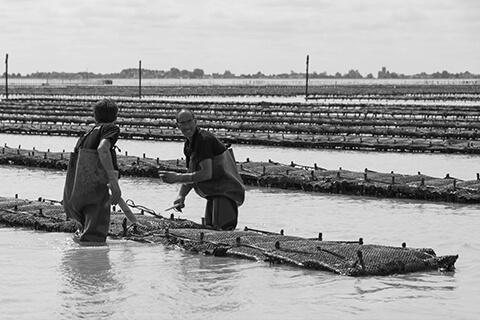 Equipe Jean de Cancale au travail 2